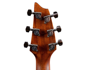 Breedlove Discovery S Concert Edgeburst CE European-African Mahogany