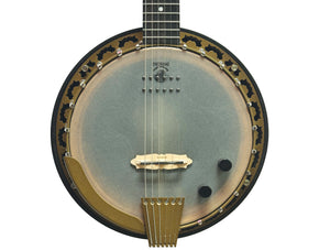 Deering Eagle Series Phoenix 6 String Acoustic-Electric Banjo, Banjitar