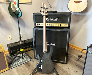 ESP LTD B-204SM in See Thru Black Satin