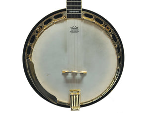 Fender FB-59 5-String Banjo w/ Case