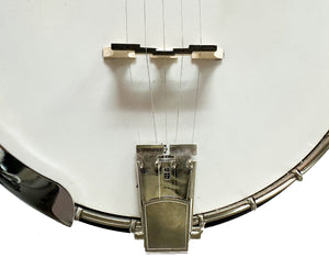 Gold Tone OB-250 Orange Blossom Bluegrass Banjo w/ Case
