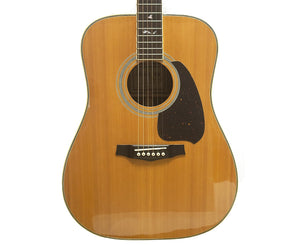 Ibanez V390 Tree of Life Vintage Series Acoustic Guitar w/ Hard Shell Case 1981