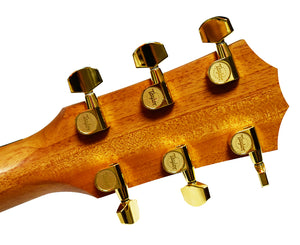 Taylor Guitars 214ce DLX Grand Auditorium Acoustic-Electric Guitar