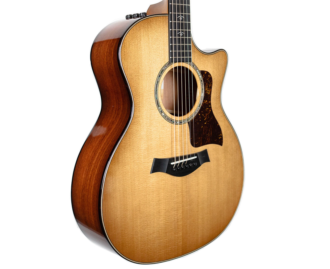 Taylor Guitars 514ce Grand Auditorium Acoustic-Electric Guitar