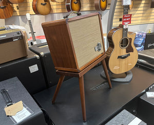 Taylor Circa 74 Acoustic Combo Amp and Stand 150w