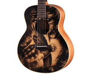 Taylor Guitars 4 Vets GS Mini Americana Special Edition