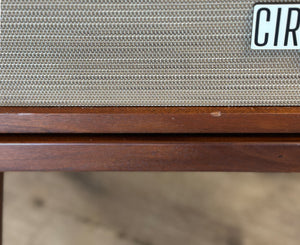 Taylor Circa 74 Acoustic Combo Amp and Stand 150w - Used
