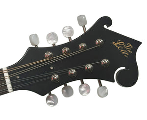 The Loar LM-310F Honey Creek F-Style Mandolin