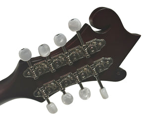 The Loar LM-310F Honey Creek F-Style Mandolin