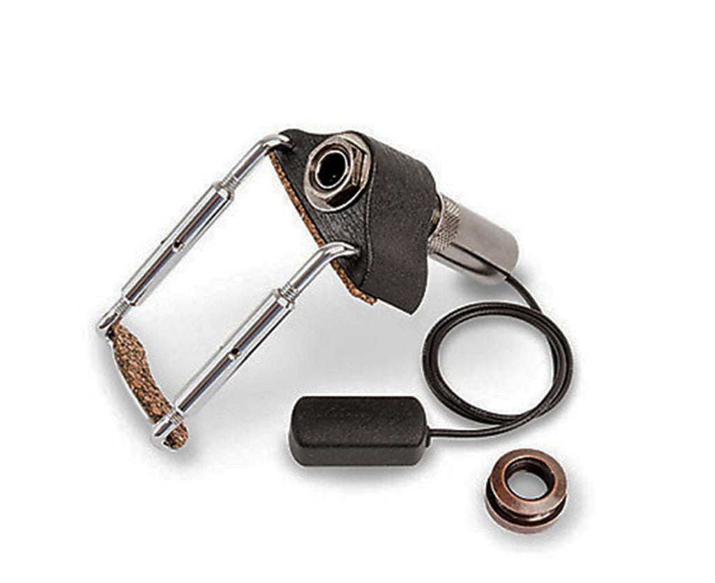 L.R. Baggs Radius Mandolin Pickup