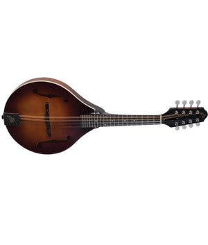 The Loar LM-110-BRB Honey Creek A-Style Mandolin - Megatone Music